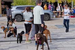 felmaraton_121_O1010040_DxO