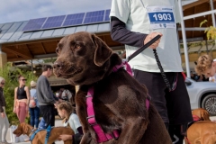 felmaraton_122_O1010041_DxO