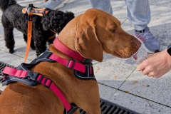 felmaraton_123_O1010043_DxO