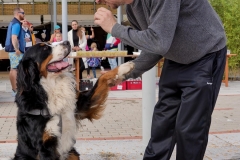 felmaraton_126_O1010053_DxO