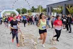 felmaraton_171_O1010163_DxO