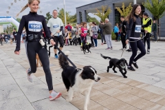 felmaraton_175_O1010176_DxO