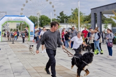 felmaraton_177_O1010182_DxO