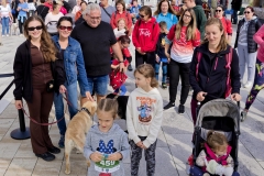 felmaraton_179_O1010189_DxO