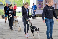 felmaraton_406_P1012477_DxO