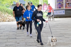 felmaraton_407_P1012478_DxO