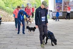 felmaraton_408_P1012479_DxO