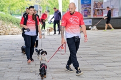 felmaraton_411_P1012488_DxO