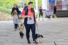 felmaraton_412_P1012489_DxO