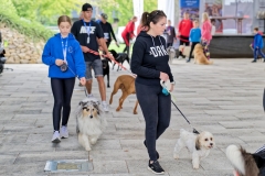 felmaraton_416_P1012499_DxO