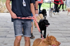 felmaraton_417_P1012501_DxO