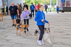 felmaraton_422_P1012516_DxO