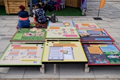 felmaraton_466_P1012624_DxO