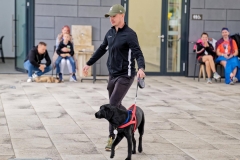 felmaraton_494_P1012728_DxO