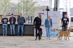 felmaraton_499_P1012740_DxO