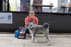 MSE_3306_20250927