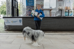 MSE_3316_20250927