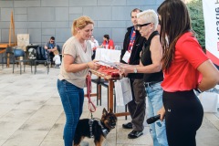 MK1119